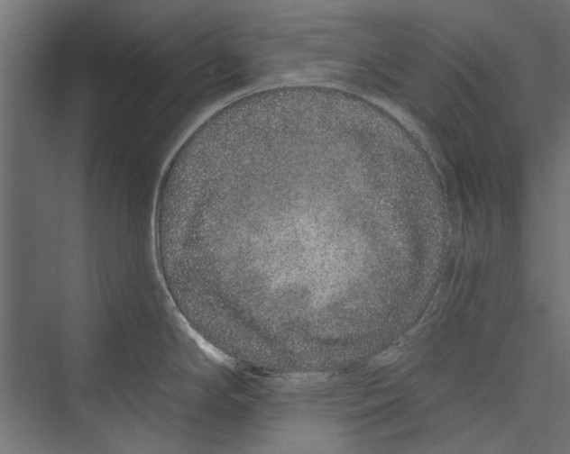 X0000075341294200610061645