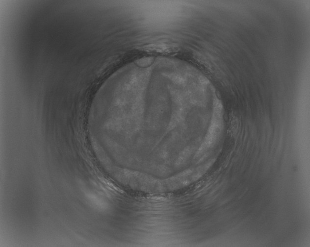 X0000075341297200610061644