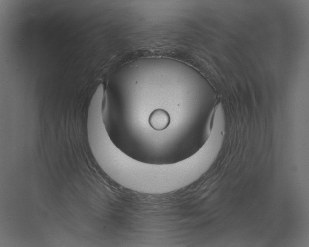 X0000075341298200610061644