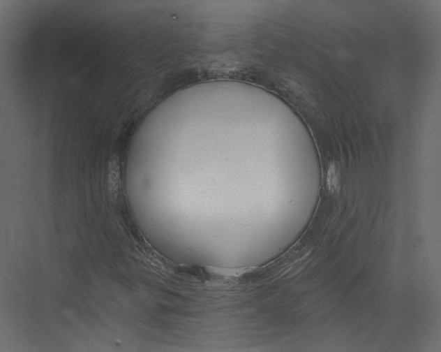 X0000075341299200610061644