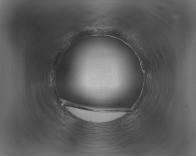 X0000075341300200610061644