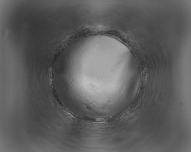 X0000075341301200610061644