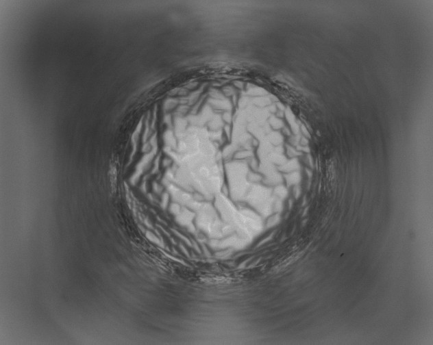 X0000075341302200610061644