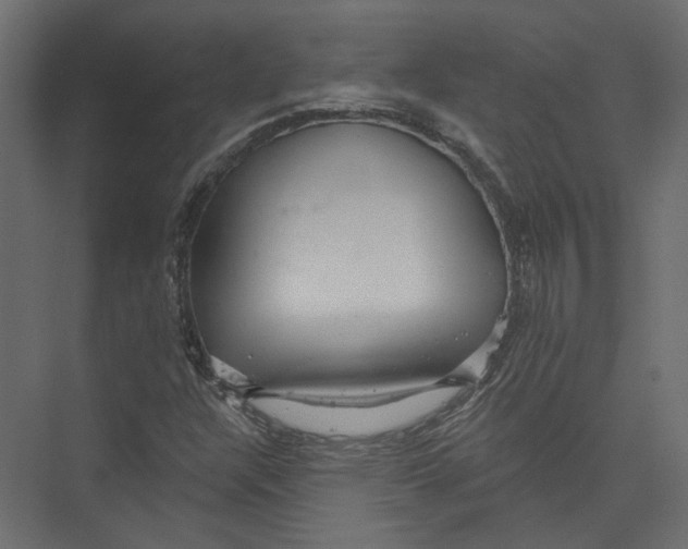 X0000075341304200610061644