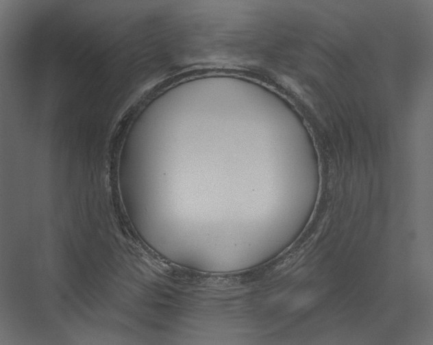 X0000075341307200610061644