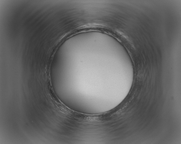 X0000075341313200610061644
