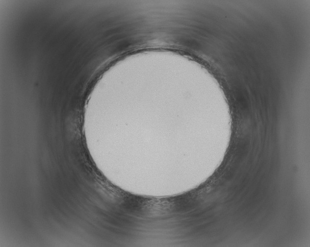 X0000075341314200610061644