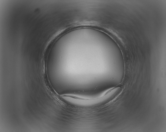 X0000075341317200610061644