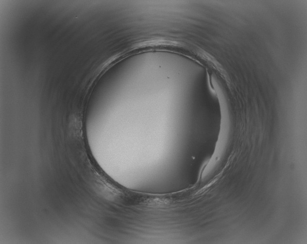 X0000075341321200610061644