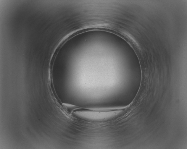 X0000075341324200610061645