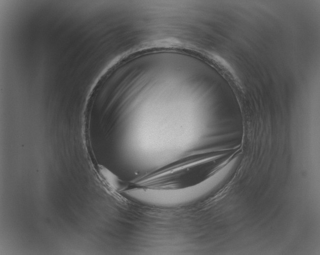 X0000075341326200610061645
