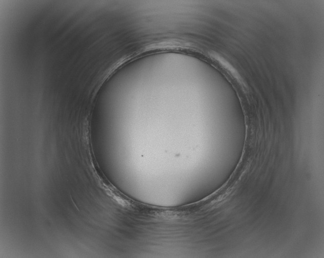 X0000075341329200610061645