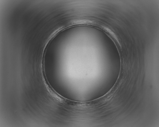 X0000075341330200610061645