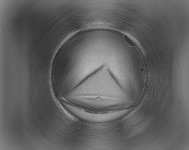 X0000075341333200610061645