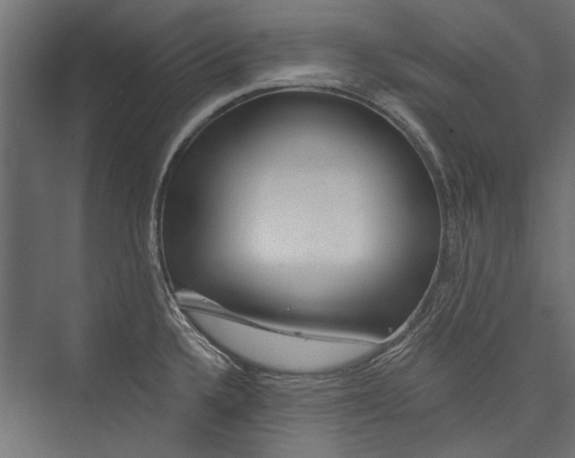 X0000075341336200610061645