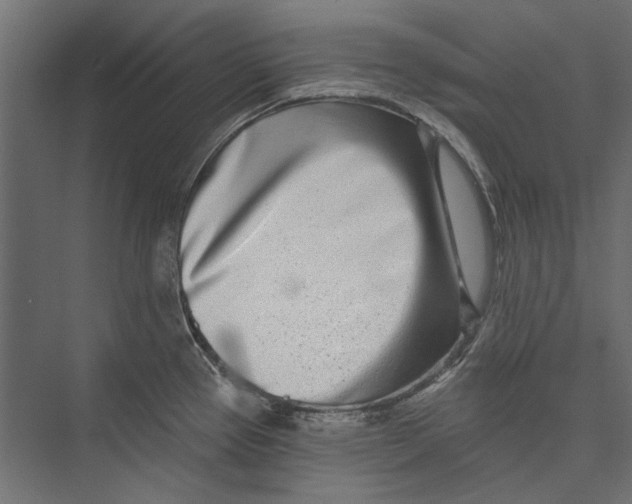 X0000075341337200610061645
