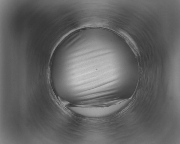 X0000075341340200610061645