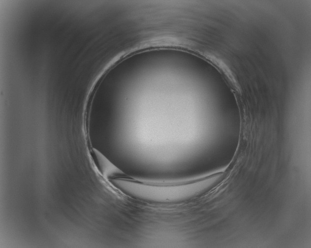 X0000075341342200610061645