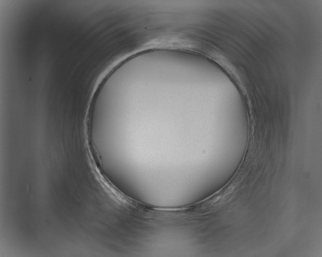 X0000075341344200610061645