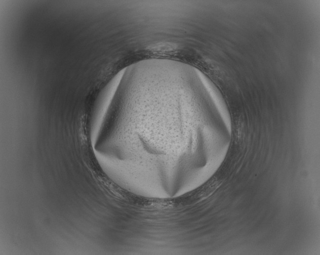 X0000075341346200610061644