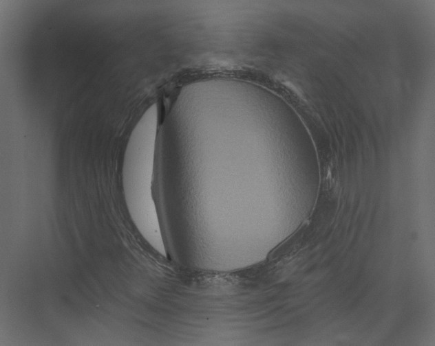 X0000075341348200610061644