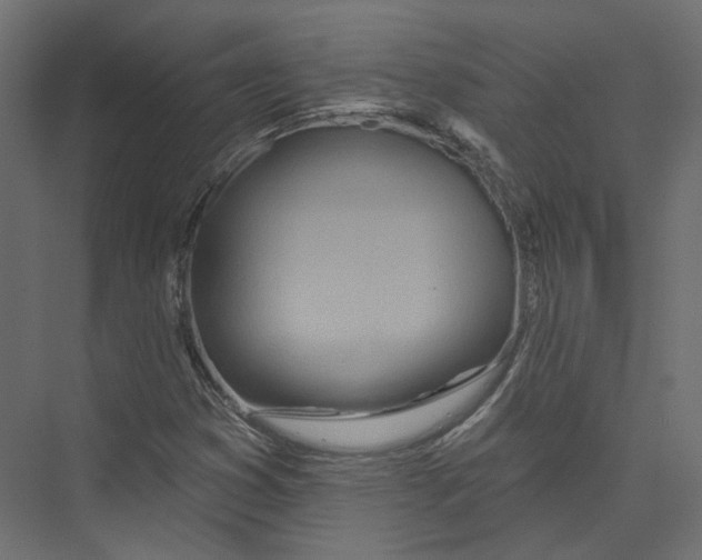 X0000075341353200610061644