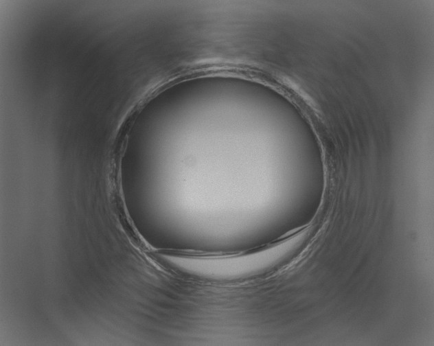 X0000075341357200610061644