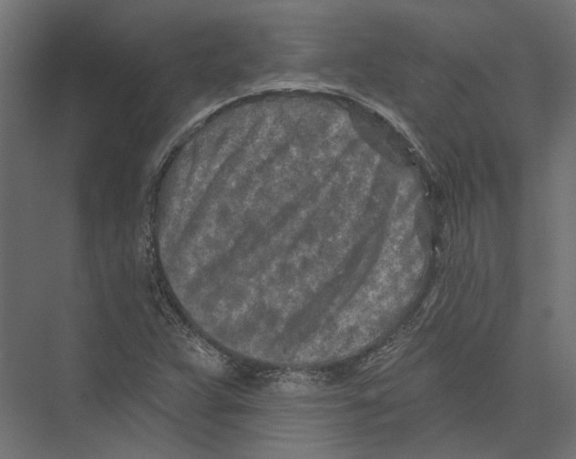 X0000075341359200610061644