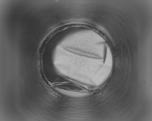 X0000075341360200610061644
