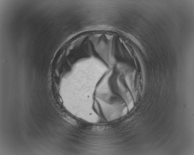 X0000075341364200610061644