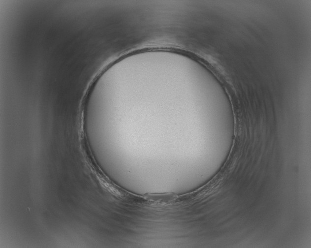 X0000075341366200610061644