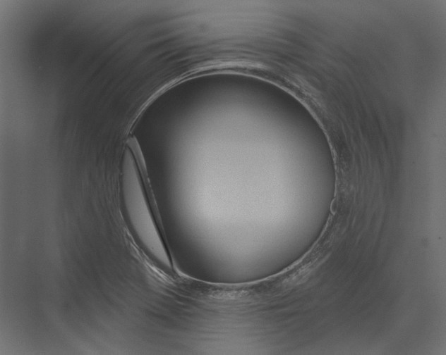 X0000075341369200610061644