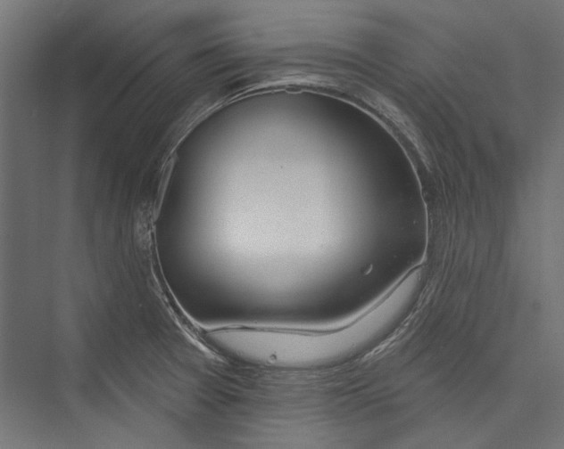 X0000075341377200610061644
