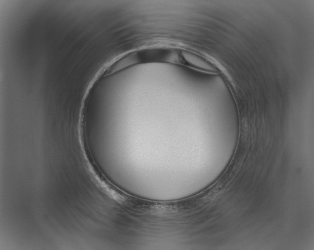 X0000075341379200610061643