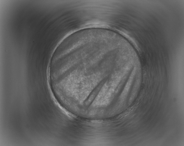 X0000075341383200610061643