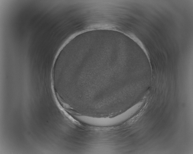 X0000075341389200610061643