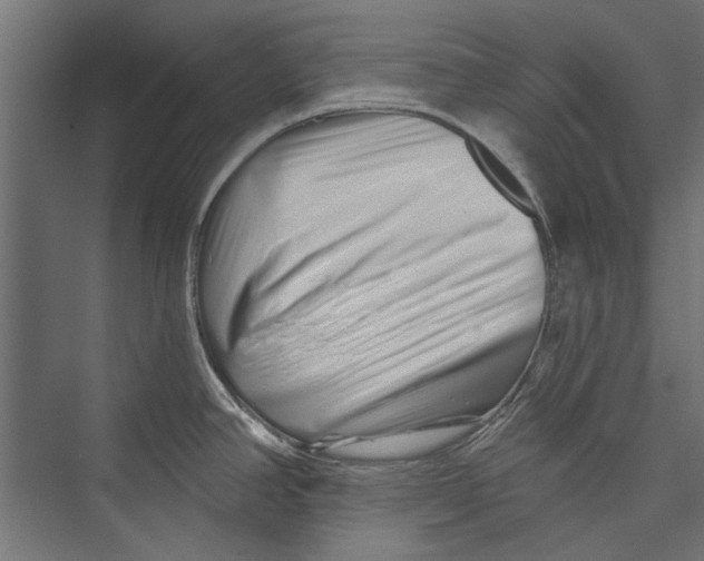 X0000075341390200610061643