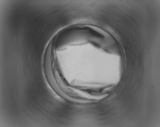 X0000075341392200610061643