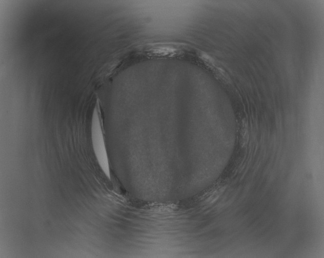 X0000075341394200610061642