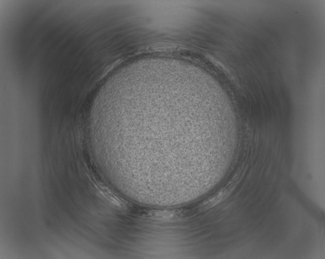X0000075341401200610061643