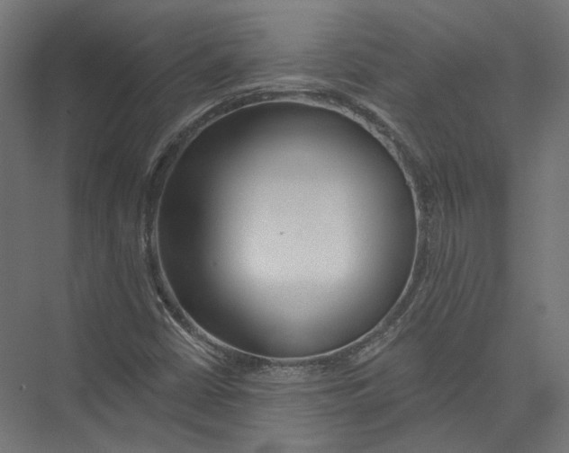 X0000075341402200610061643