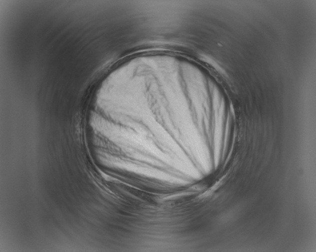 X0000075341403200610061643