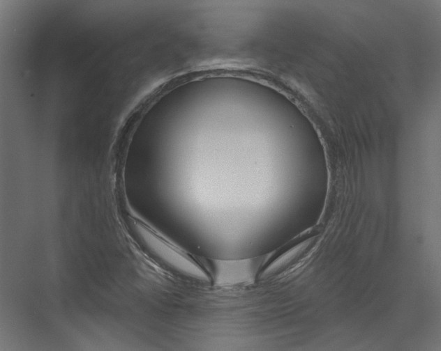 X0000075341406200610061643