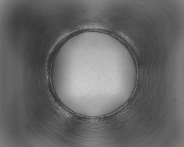 X0000075341408200610061643