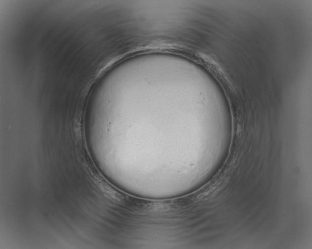 X0000075341409200610061643