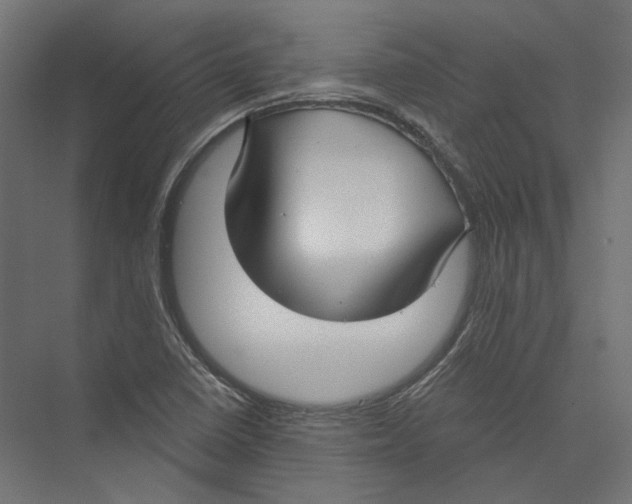 X0000075341410200610061643