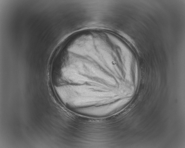 X0000075341415200610061643