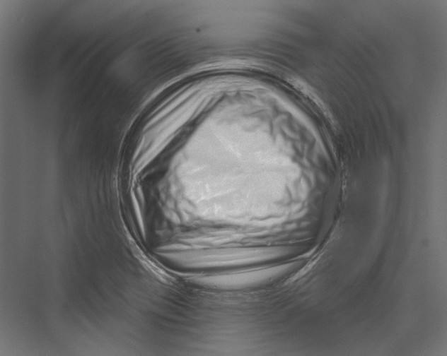X0000075341417200610061643