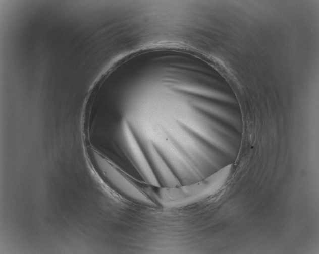 X0000075341422200610061643