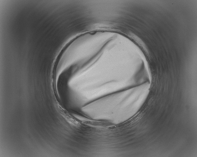 X0000075341435200610061643